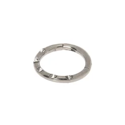 Claire's Bijoux Premium|Bijoux De Piercing-Anneau de piercing cartilage à charnière avec strass couleur argenté et couleur titané