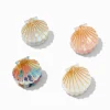 Claire's Barrettes Et Pinces-Iridescent Seashell Small Hair Claws - 4 Pack
