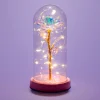 Claire's Déco De Maison-Lumière d'appoint rose sous un dôme